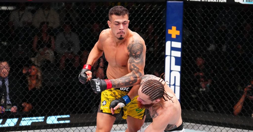 Middleweight fight added to stacked UFC 314 fight card