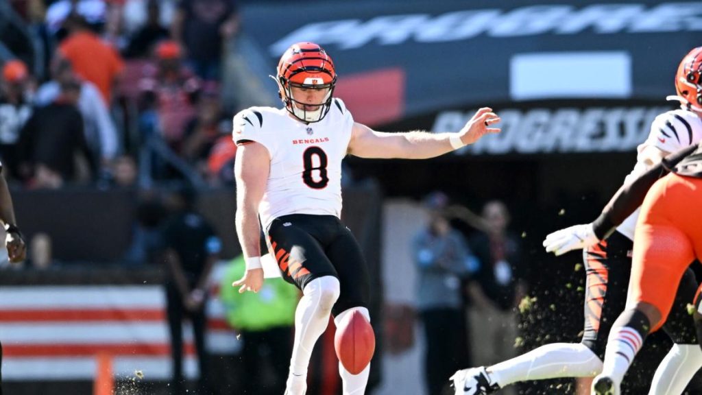 Bengals sign P Ryan Rehkow to two-year extension