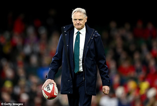 Joe Schmidt opens up on the real reason he had to quit the Wallabies before the next Rugby World Cup